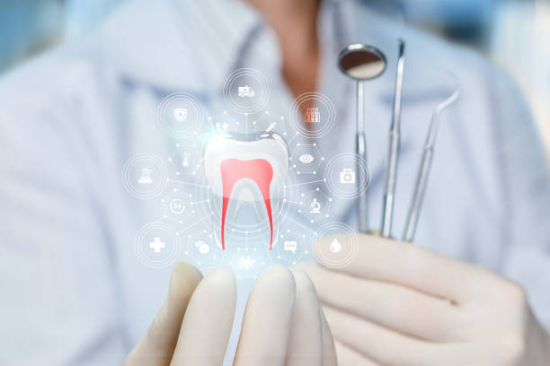 Best Root Canal Treatment  in Palestine, IL